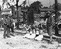 Koren War 2599Korea Military A4 Photo Print