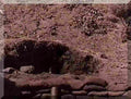Koren War 2650Korea Military A4 Photo Print