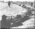 Koren War 2716Korea Military A4 Photo Print