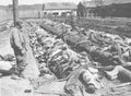 Koren War 2751Korea Military A4 Photo Print