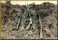 Koren War 2878Korea Military A4 Photo Print