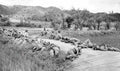 Koren War 2924Korea Military A4 Photo Print