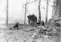 Koren War 2993Korea Military A4 Photo Print