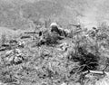 Koren War 3017Korea Military A4 Photo Print