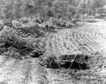 Koren War 3018Korea Military A4 Photo Print