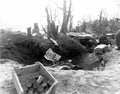 Koren War 3033Korea Military A4 Photo Print