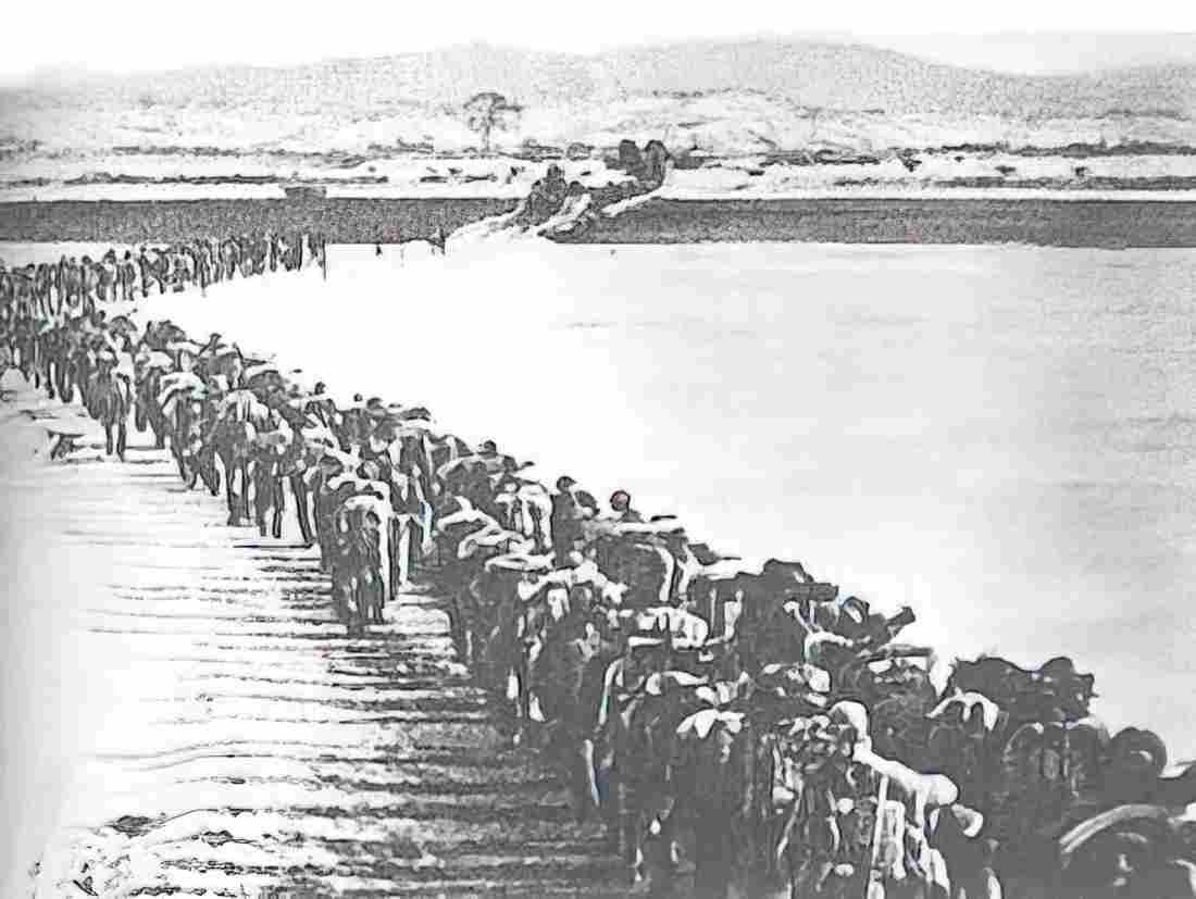 Koren War 3218Korea Military A4 Photo Print