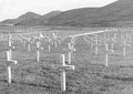 Koren War 330Korea Military A4 Photo Print