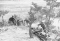 Koren War 350Korea Military A4 Photo Print
