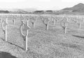 Koren War 390Korea Military A4 Photo Print