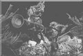 Koren War 397Korea Military A4 Photo Print