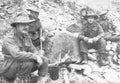 Koren War 529Korea Military A4 Photo Print