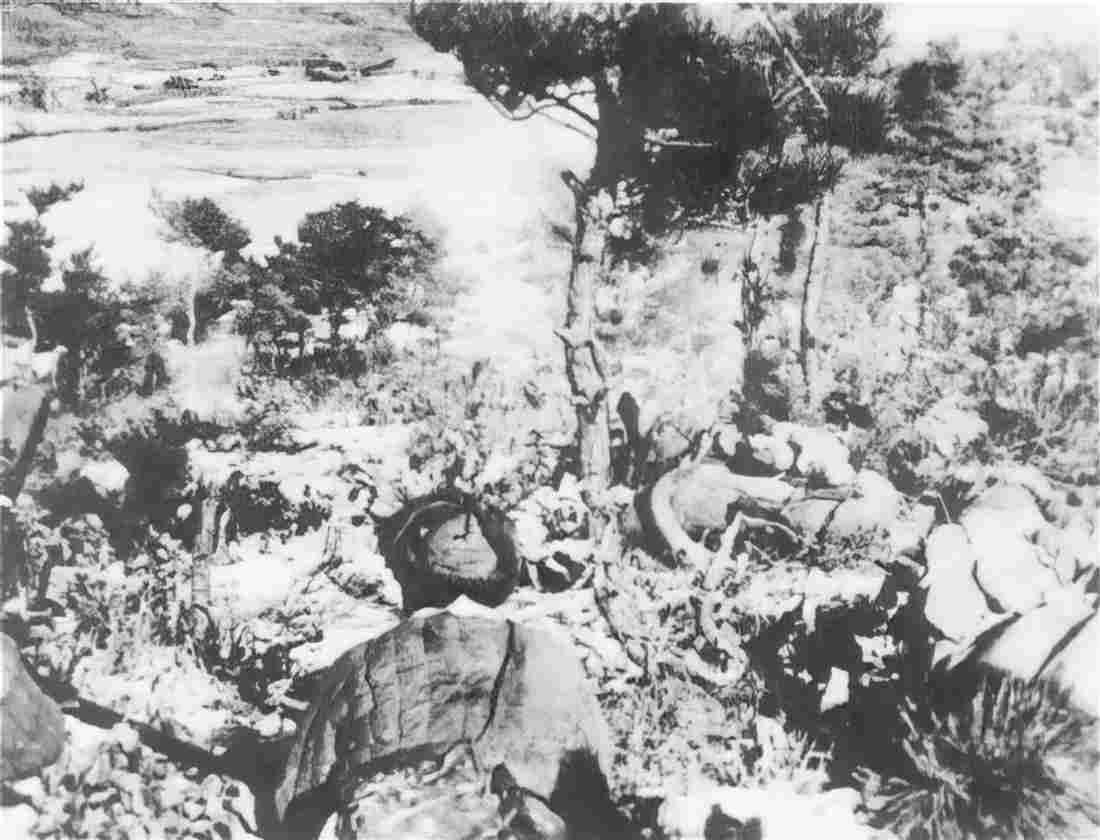 Koren War 689Korea Military A4 Photo Print