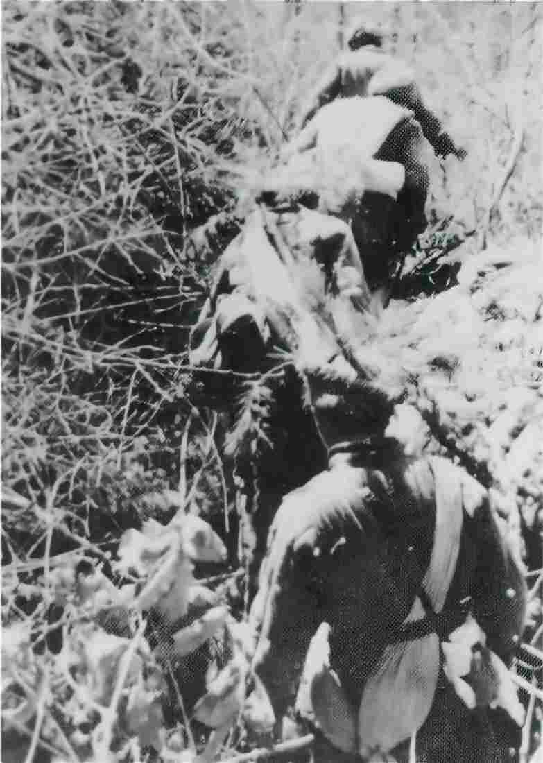 Koren War 693Korea Military A4 Photo Print