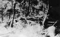 Koren War 732Korea Military A4 Photo Print
