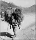 Koren War 908Korea Military A4 Photo Print