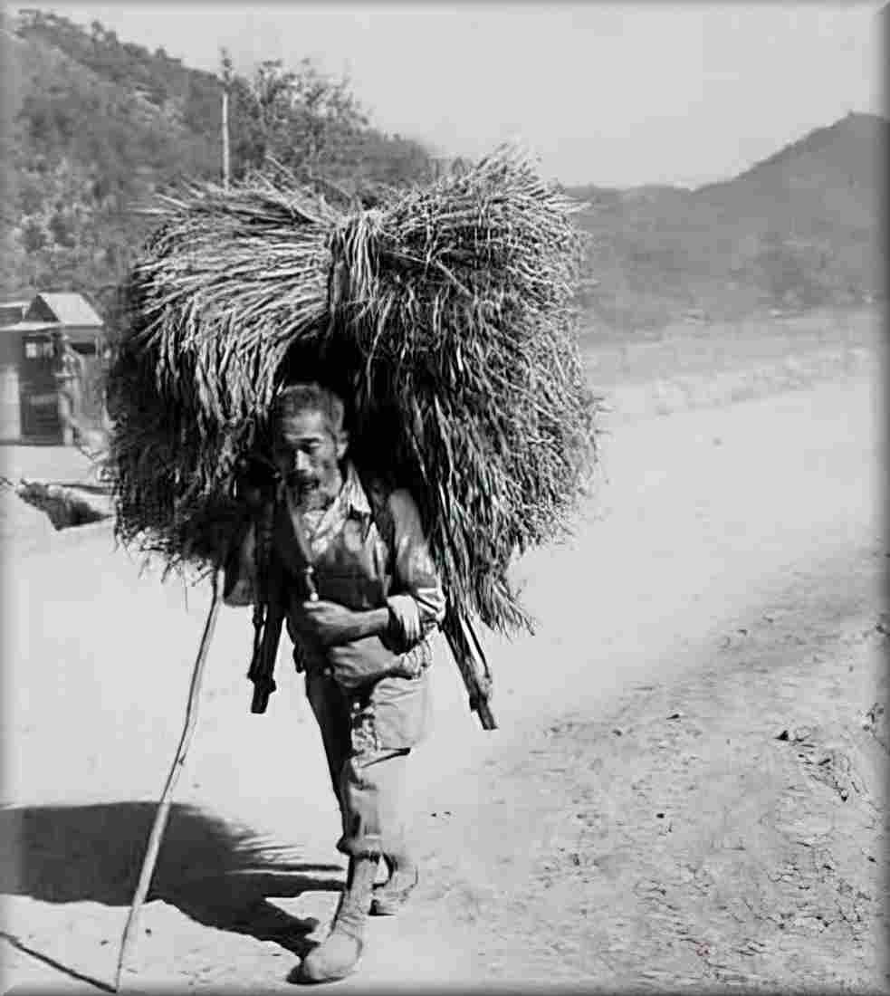 Koren War 908Korea Military A4 Photo Print