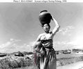 Koren War 956Korea Military A4 Photo Print