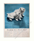Kosset Carpet Persian Vintage Retro Advert Poster A4 Photo Print