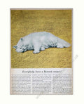 Kosset Carpets Red Vintage Retro Advert Poster A4 Photo Print