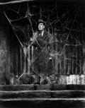 Kruger Otto Draculas Daughter 1 film star poster A4 Photo Print