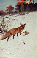 Kuhnert Friedrich Wilhelm 1916 v1 Fox A4 Photo Print