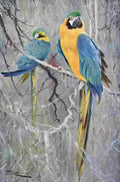 Kuhnert Friedrich Wilhelm 1916 v2 Blue Macaw A4 Photo Print