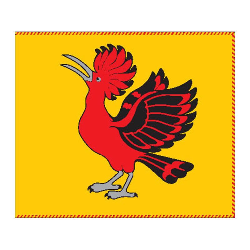 Kuktishkes City Flag N7002 A4 Photo Print