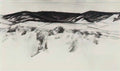 Kuzma Petrov Vodkin krasulin 1915 Art A4 Photo Print