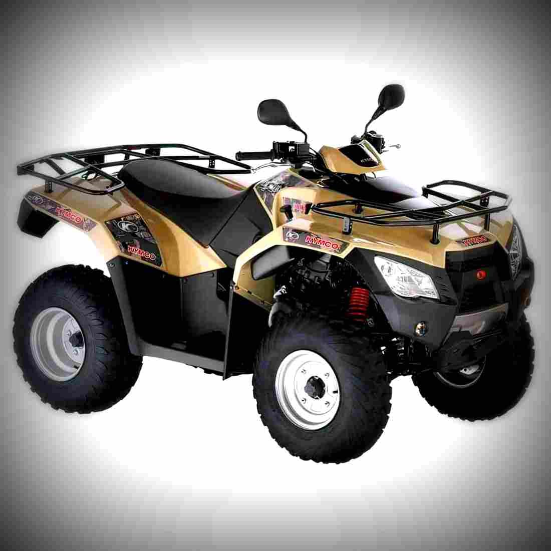 Kymco MXU 300 R 2017 2 motorbike A4 Photo Print