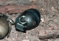 L2a2 Hand Grenade A4 Photo Print