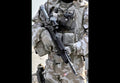L85 Individual Weapon 4 A4 Photo Print