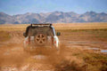 LAND ROVER Defender 110 6670 4 Car A4 Photo Print