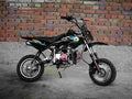 LIFAN GOLDFISH 50 12828 1 Car A4 Photo Print