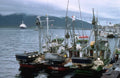 Lacy Zane Boats A4 Photo Print