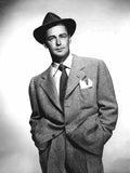 Ladd Alan 2 film star poster A4 Photo Print