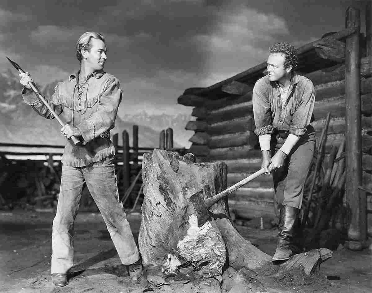 Ladd Alan Shane z8 film star poster A4 Photo Print
