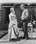 Ladd Alan Shane z9 film star poster A4 Photo Print