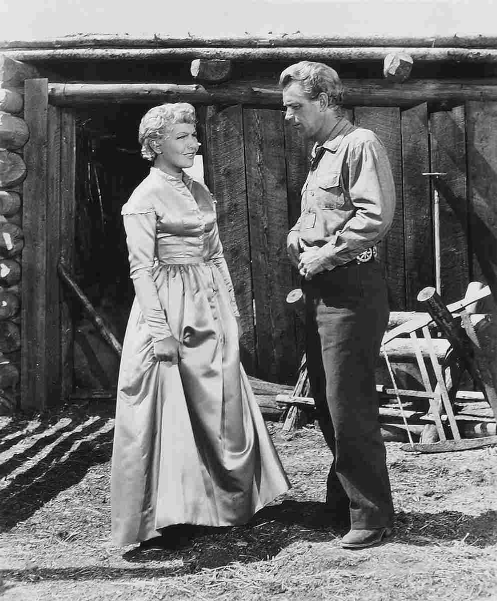 Ladd Alan Shane z9 film star poster A4 Photo Print