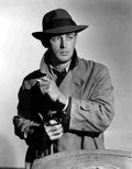 Ladd Alan This Gun for Hire 4 film star poster A4 Photo Print