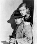 Ladd Alan This Gun for Hire z4 film star poster A4 Photo Print