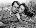 Ladd Alan Wild Harvest 1 film star poster A4 Photo Print
