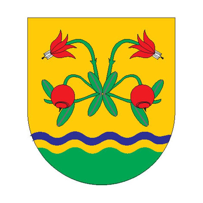 Laeva Vald Coat Of Arms N2459 A4 Photo Print