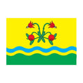 Laeva Vald Flag N2460 A4 Photo Print