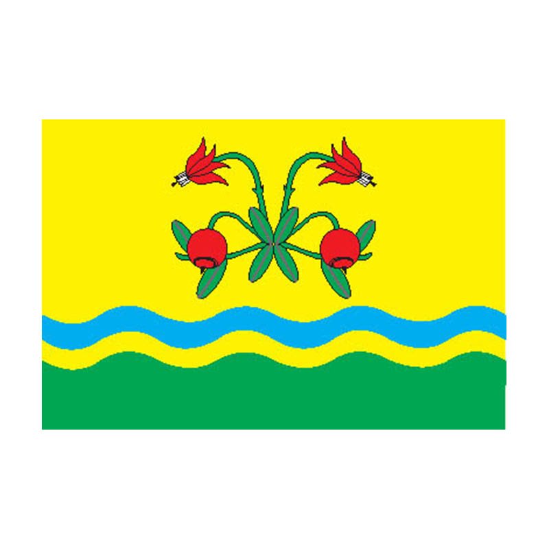 Laeva Vald Flag N2460 A4 Photo Print
