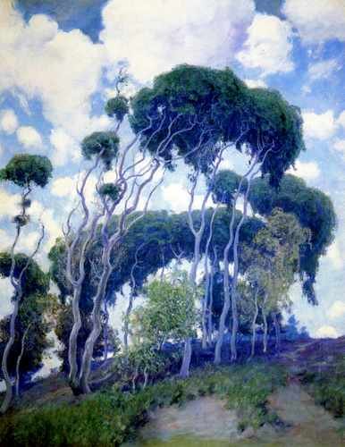 Laguna Eucalyptus 1917 A4 Photo Print