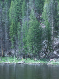 Lake Mountains Trees A4 Photo Print