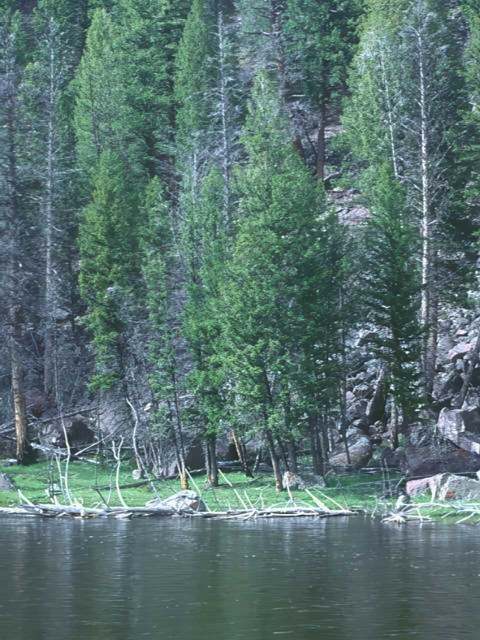 Lake Mountains Trees A4 Photo Print