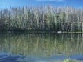 Lake Reflection Yellowstone A4 Photo Print