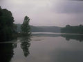 Lake Reflections Forest A4 Photo Print